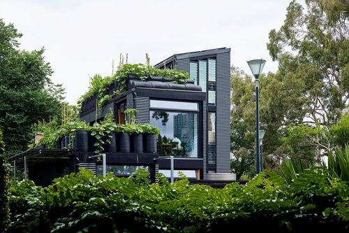 Greenhouse Leadership: Cultivating Success in Your Organization
